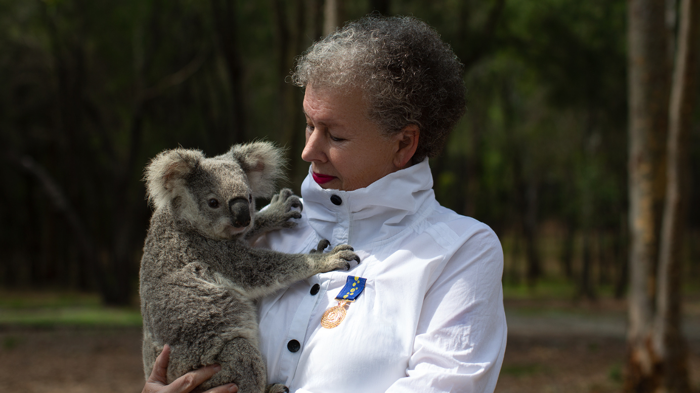 Why saving koalas matters more than ever